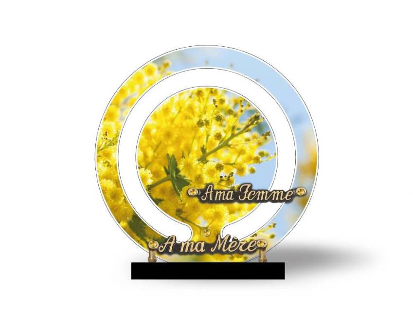 Plaque Plexiglas design typique