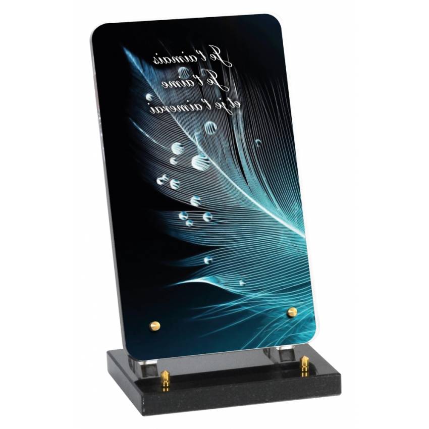 Plaque Plexiglas Rectangle émérite