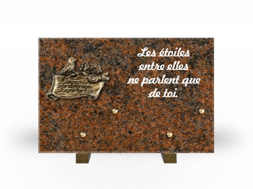 Granite Rectangle Aesthetic Plaque.