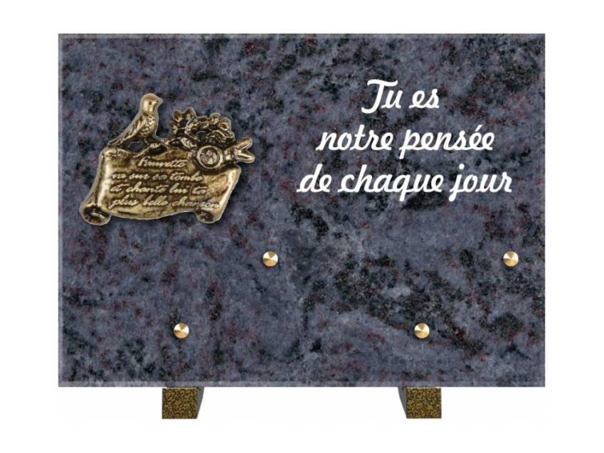 Granite Rectangle Aesthetic Plaque.