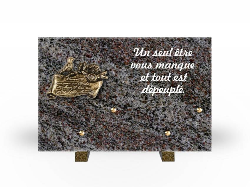 Granite Rectangle Aesthetic Plaque.