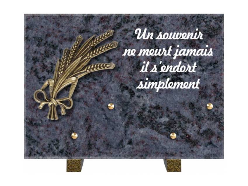 Granite Rectangle Aesthetic Plaque.