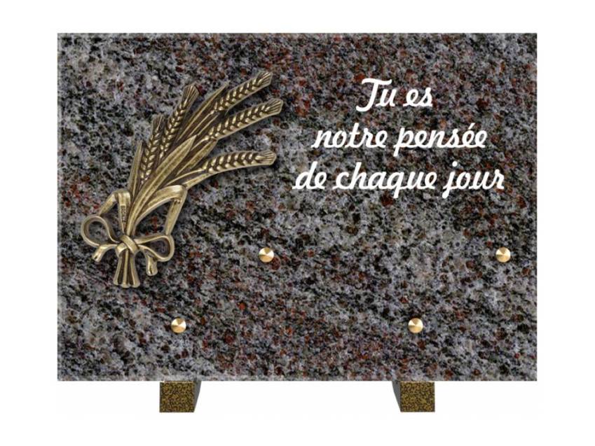 Granite Rectangle Aesthetic Plaque.