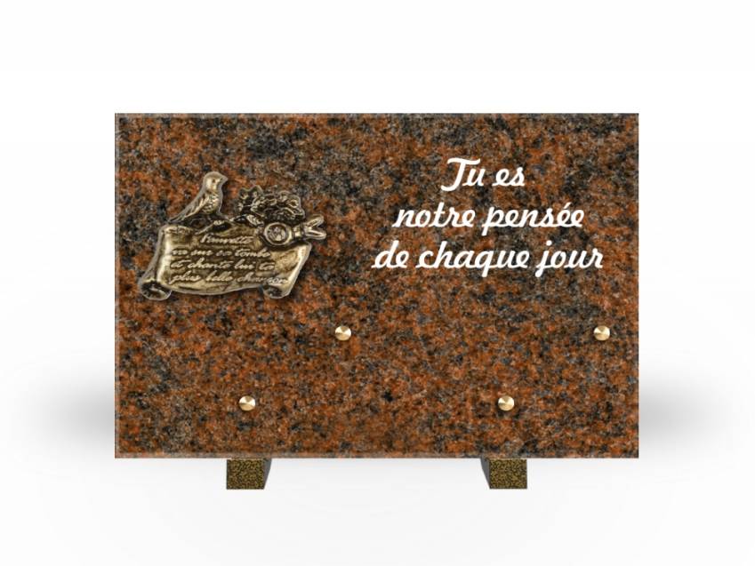 Granite Rectangle Aesthetic Plaque.