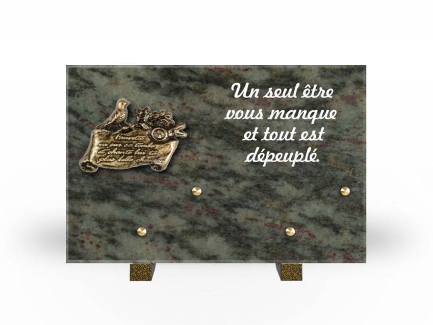 Granite Rectangle Aesthetic Plaque.