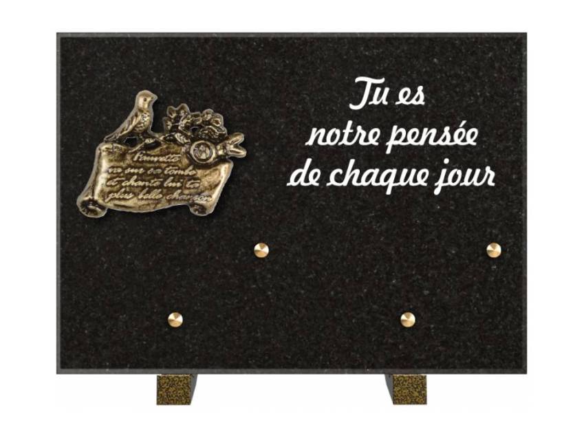 Granite Rectangle Aesthetic Plaque.