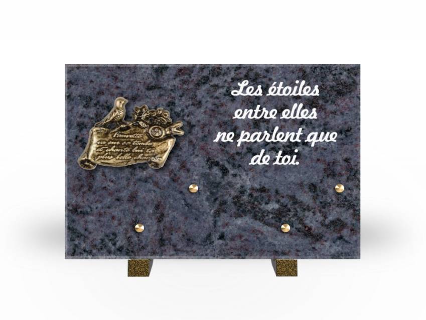 Granite Rectangle Aesthetic Plaque.