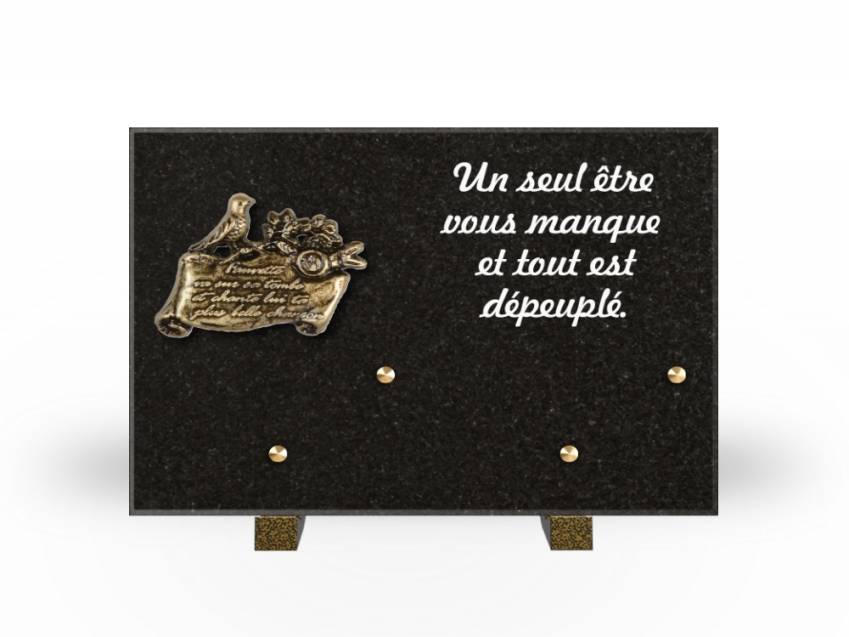 Granite Rectangle Aesthetic Plaque.