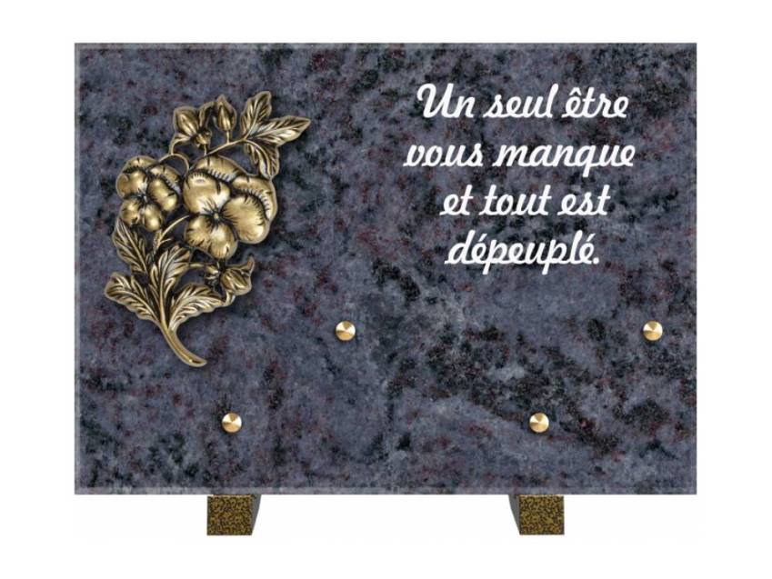 Granite Rectangle Aesthetic Plaque.