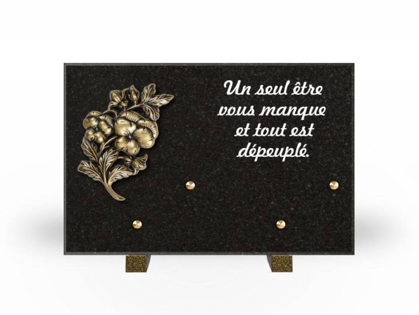 Granite Rectangle Aesthetic Plaque.