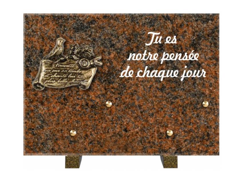 Granite Rectangle Aesthetic Plaque.