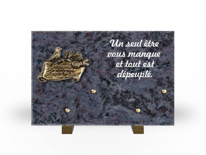 Granite Rectangle Aesthetic Plaque.