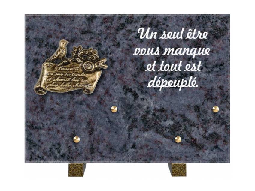 Granite Rectangle Aesthetic Plaque.