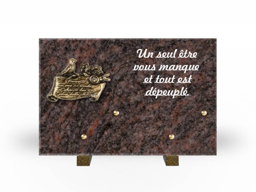 Granite Rectangle Aesthetic Plaque.