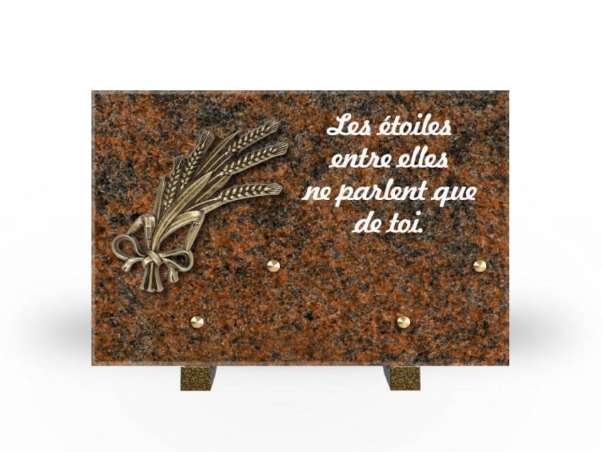 Granite Rectangle Aesthetic Plaque.