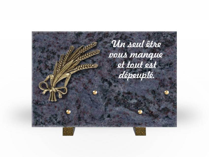 Granite Rectangle Aesthetic Plaque.