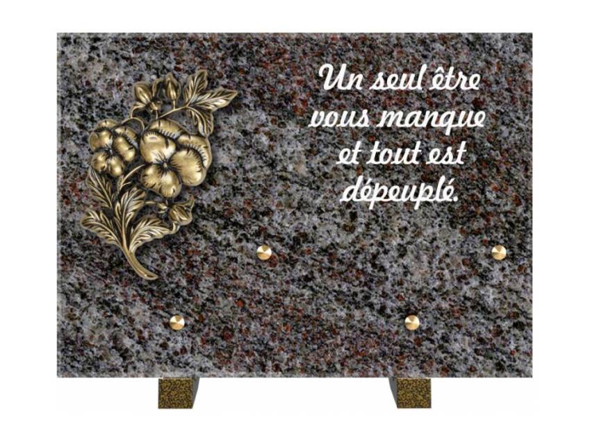 Granite Rectangle Aesthetic Plaque.