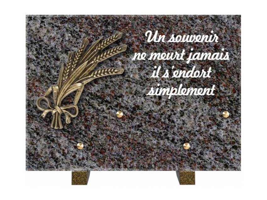 Granite Rectangle Aesthetic Plaque.