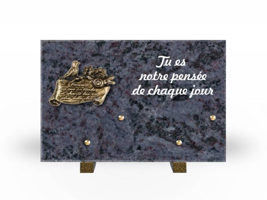 Granite Rectangle Aesthetic Plaque.