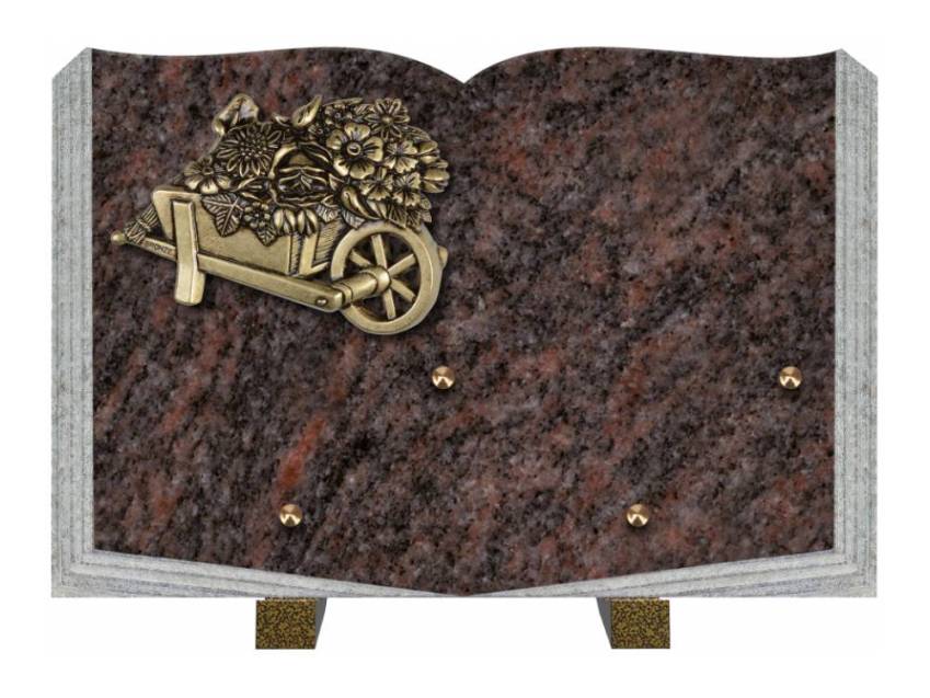 Dolphinix death plaque