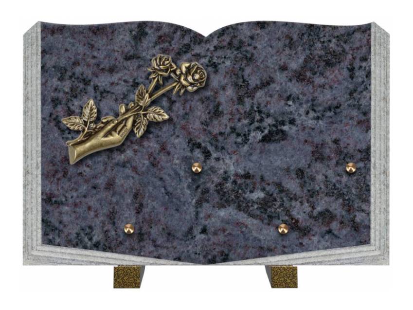 Dolphinix death plaque