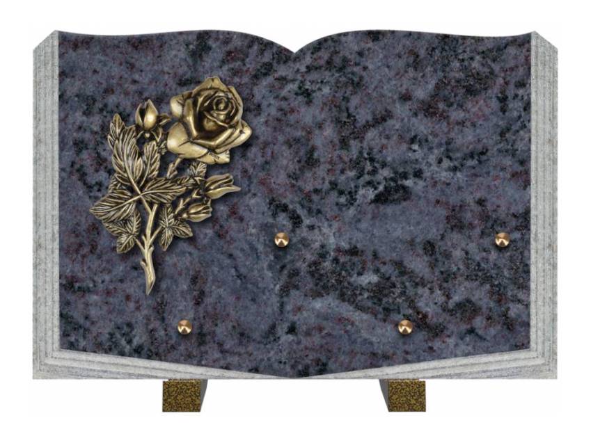 Dolphinix death plaque