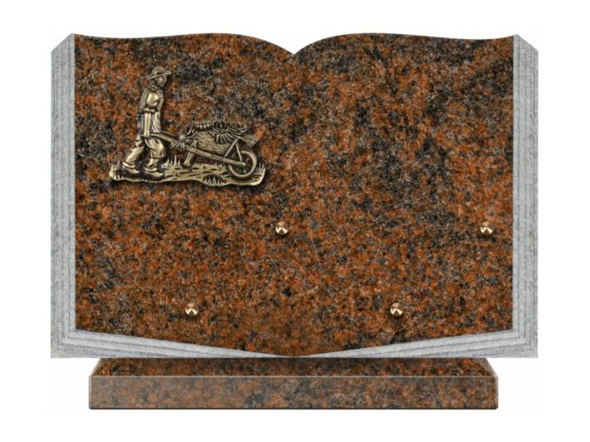 Dolphinix death plaque