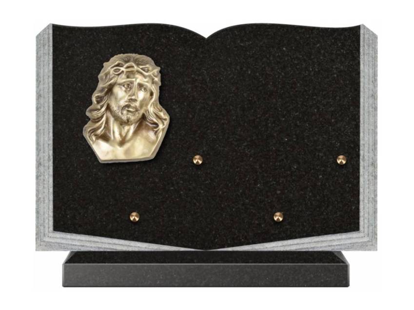 Dolphinix death plaque