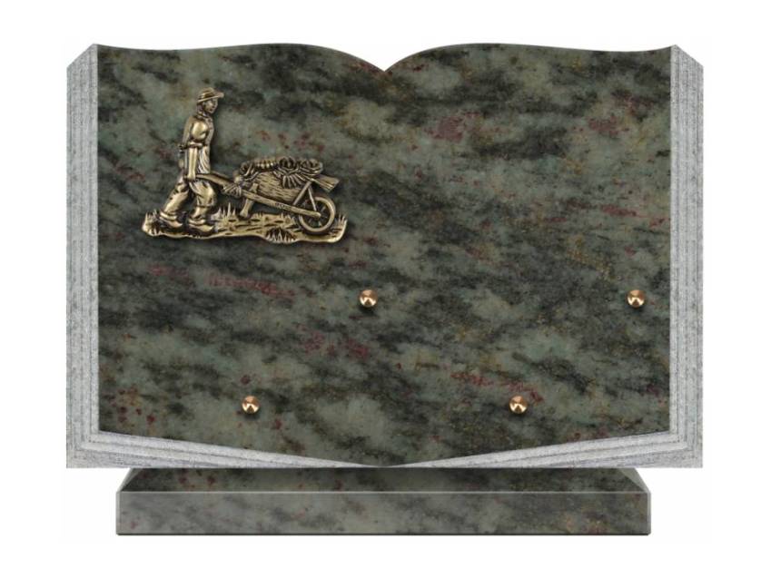 Dolphinix death plaque