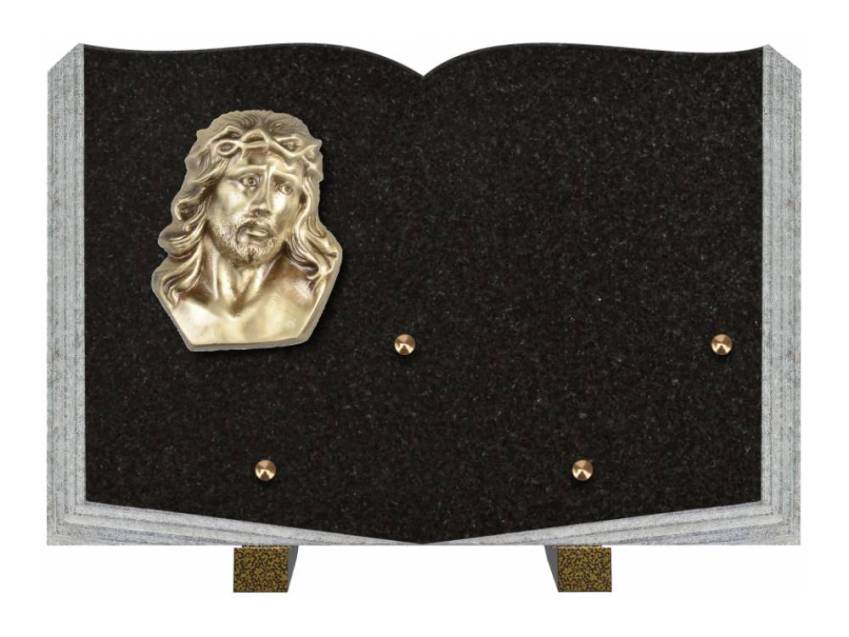 Dolphinix death plaque