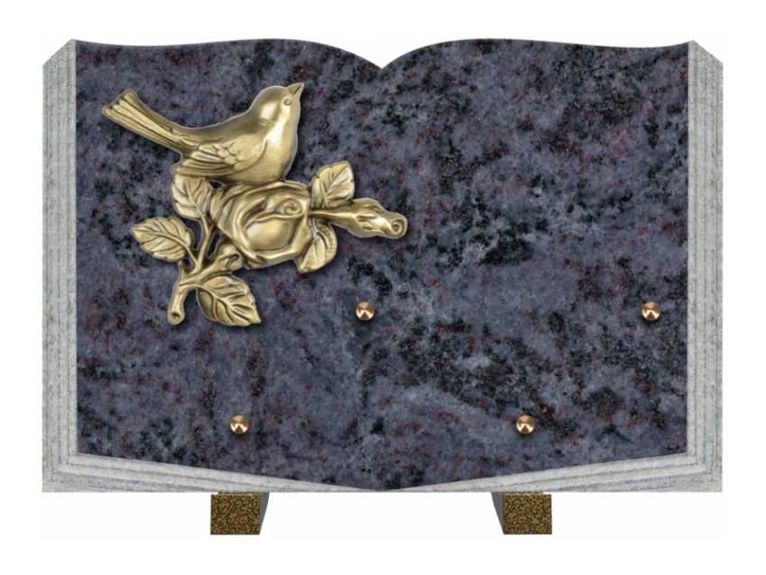 Dolphinix death plaque
