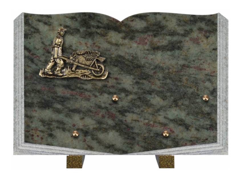 Dolphinix death plaque