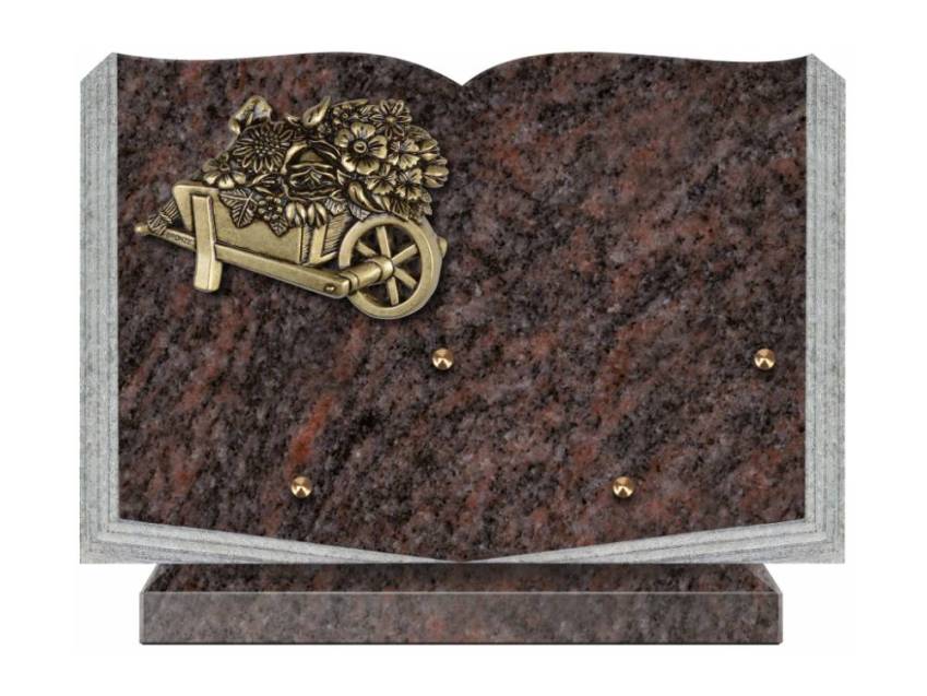 Dolphinix death plaque