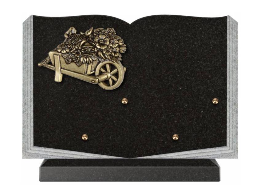 Dolphinix death plaque