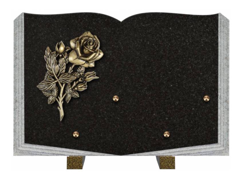 Dolphinix death plaque