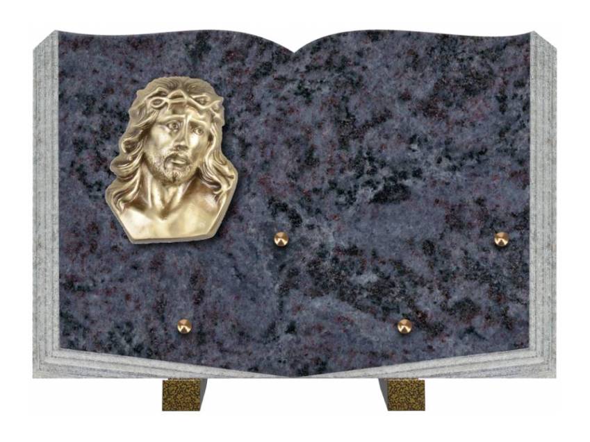 Dolphinix death plaque