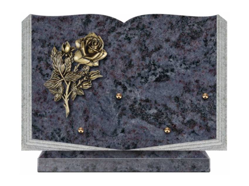Dolphinix death plaque