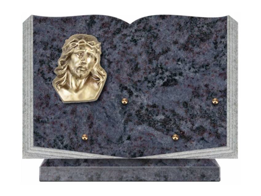 Dolphinix death plaque