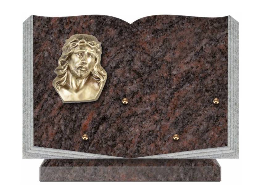 Dolphinix death plaque