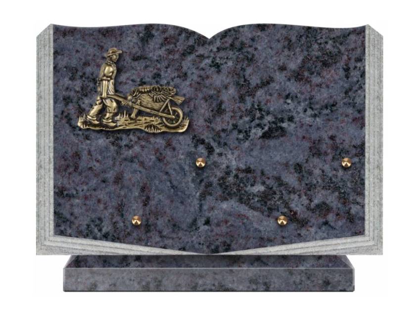 Dolphinix death plaque