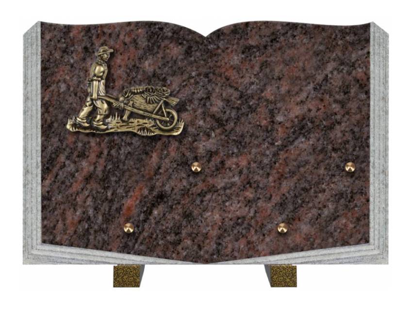 Dolphinix death plaque