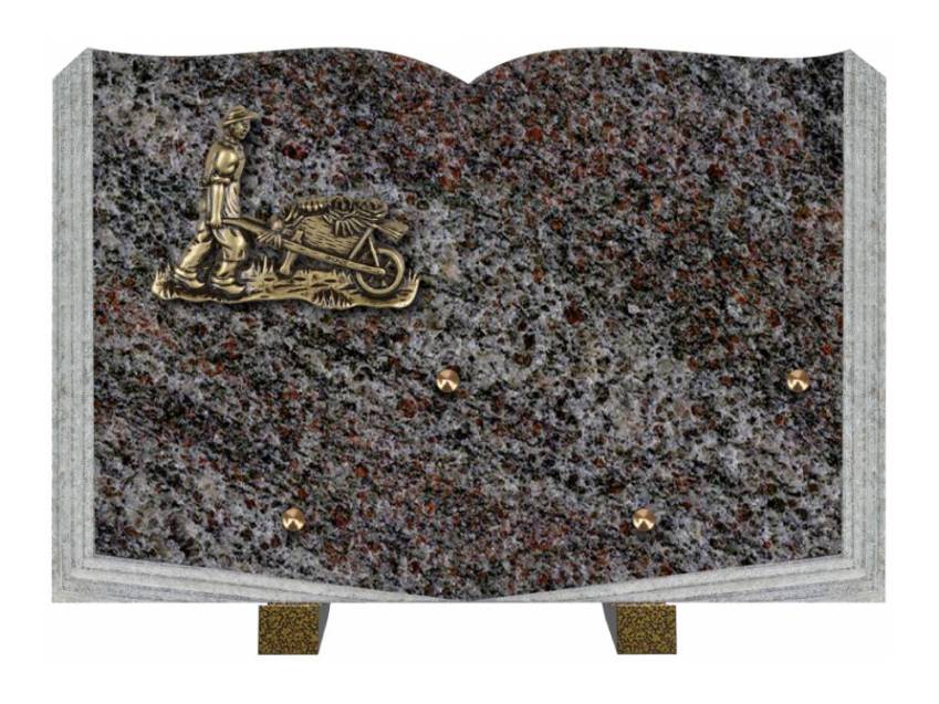 Dolphinix death plaque