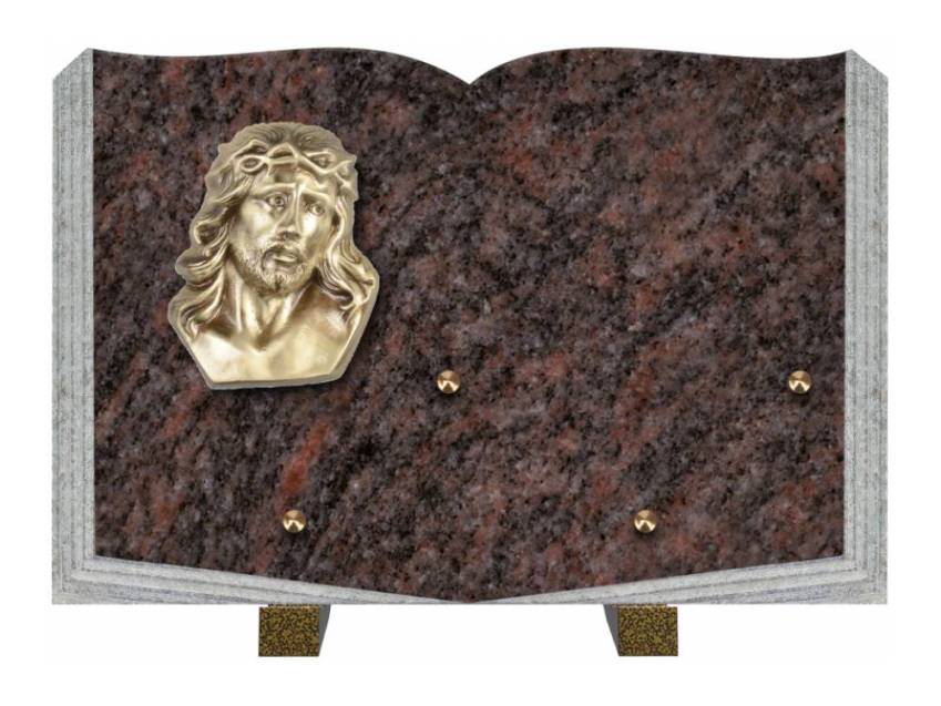 Dolphinix death plaque
