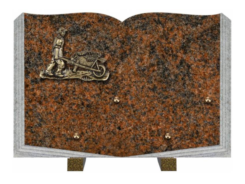 Dolphinix death plaque