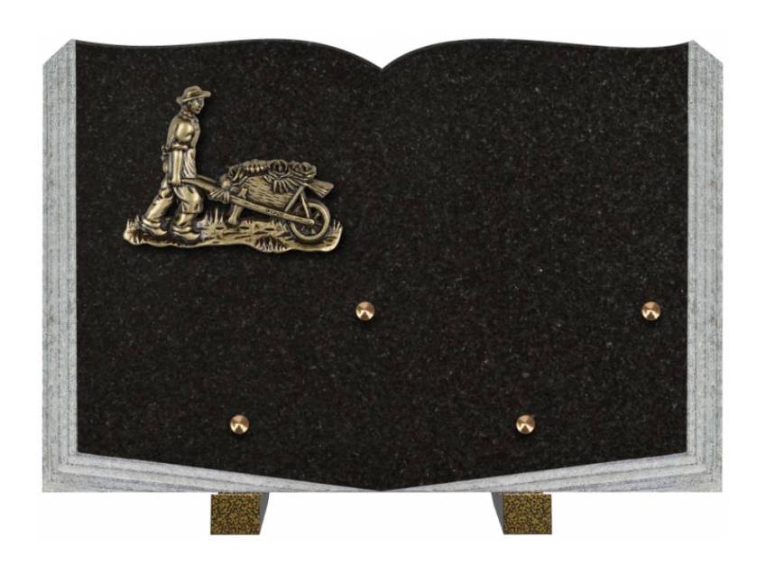 Dolphinix death plaque