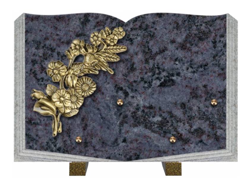 Dolphinix death plaque