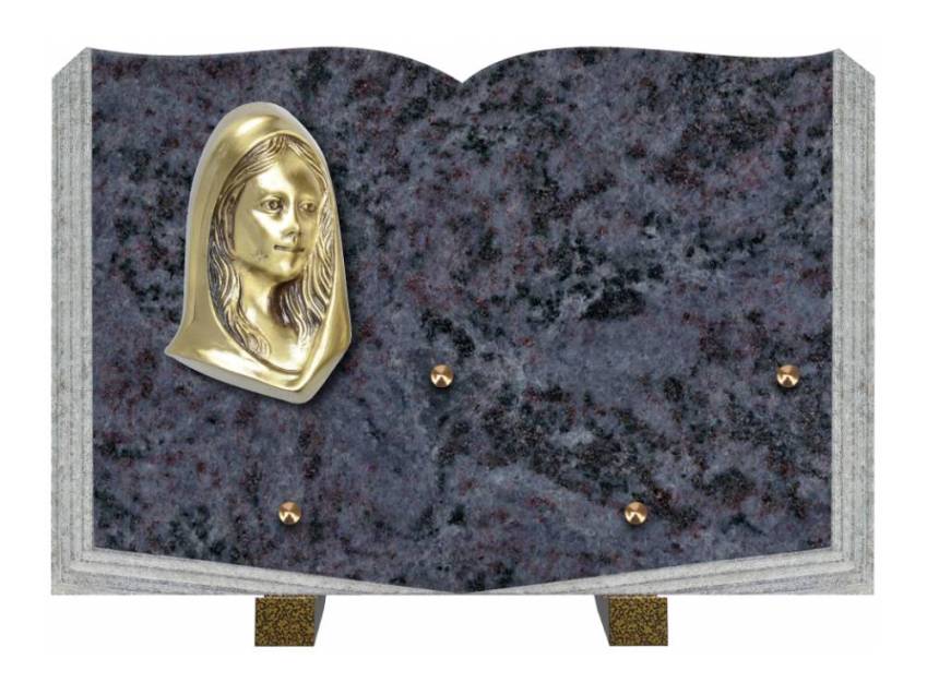 Dolphinix death plaque