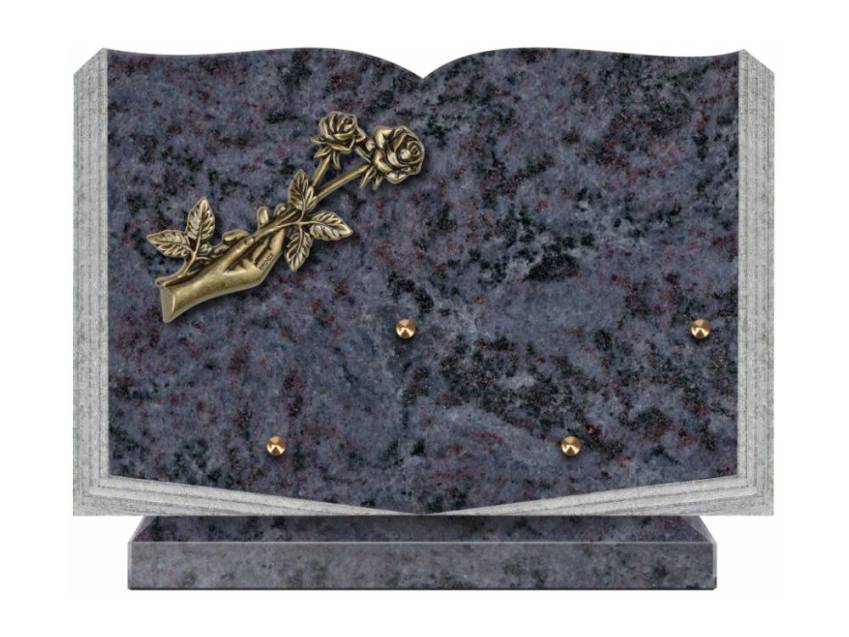 Dolphinix death plaque