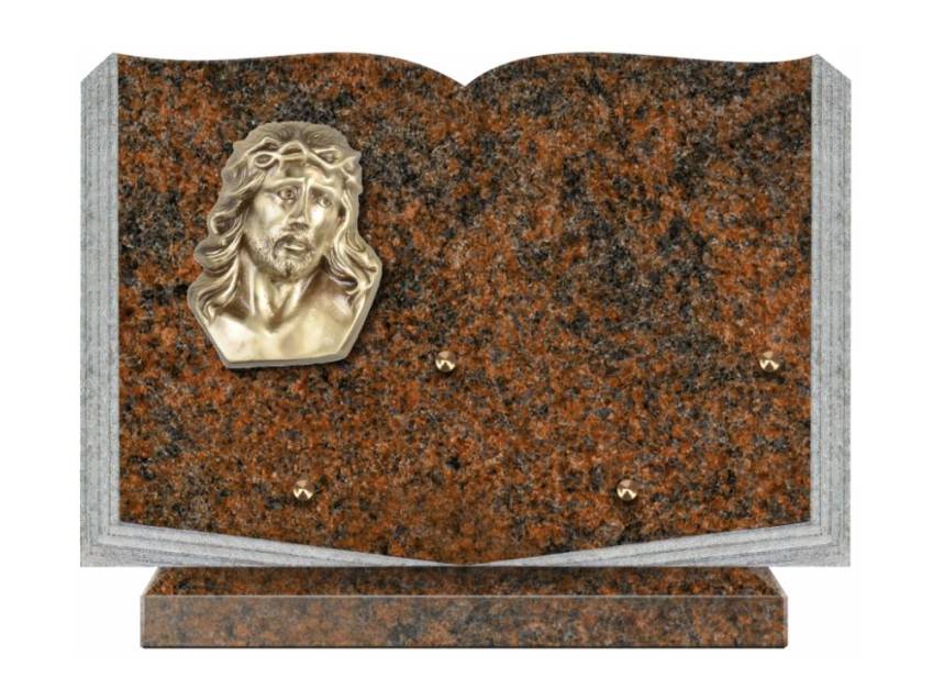 Dolphinix death plaque