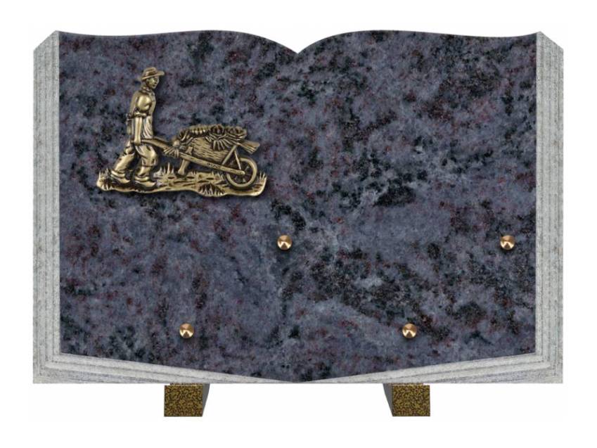 Dolphinix death plaque
